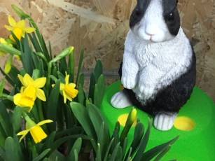 Würfeln Sie am Ostermontag mit dem Osterhasen um Ihre % auf den Einkauf